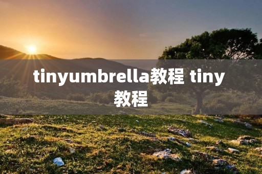 tinyumbrella教程 tiny 教程