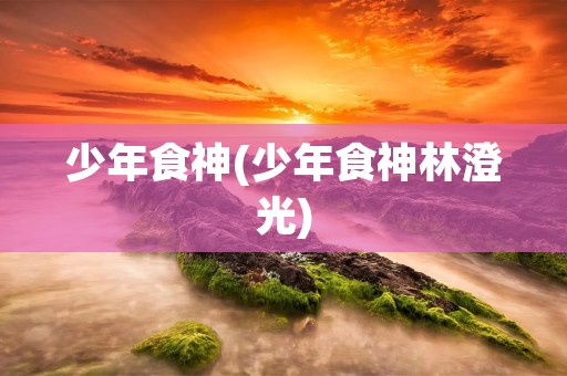 少年食神(少年食神林澄光) 少年食神(少年食神林澄光)