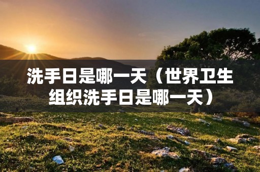 洗手日是哪一天(世界卫生组织洗手日是哪一天) 洗手日是哪一天(世界卫生组织洗手日是哪一天)