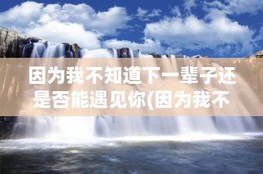 因为我不知道下一辈子还是否能遇见你(因为我不知道下一辈子是否还能遇见你是什么歌曲)