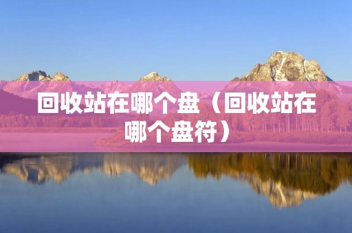 回收站在哪个盘（回收站在哪个盘符）