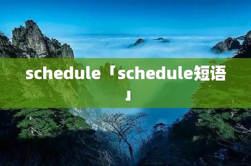 schedule「schedule短语」