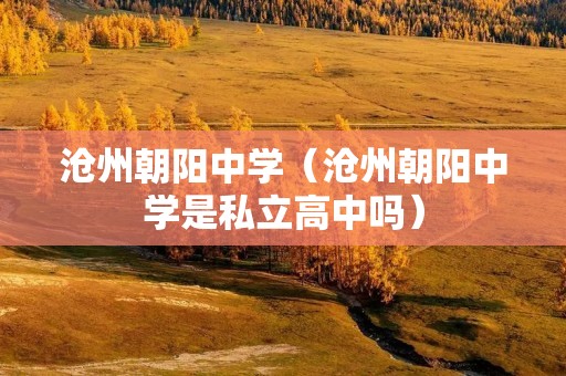 沧州朝阳中学（沧州朝阳中学是私立高中吗）