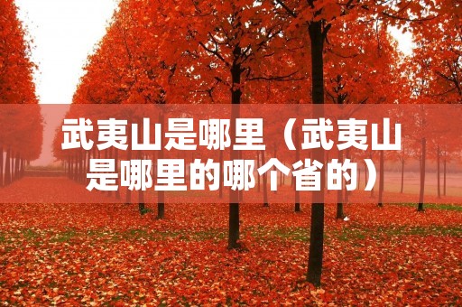 武夷山是哪里(武夷山是哪里的哪个省的) 武夷山是哪里(武夷山是哪里的哪个省的)