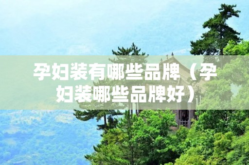 孕妇装有哪些品牌（孕妇装哪些品牌好）