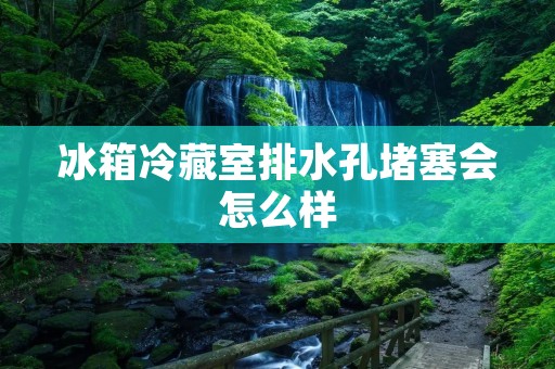 冰箱冷藏室排水孔堵塞会怎么样