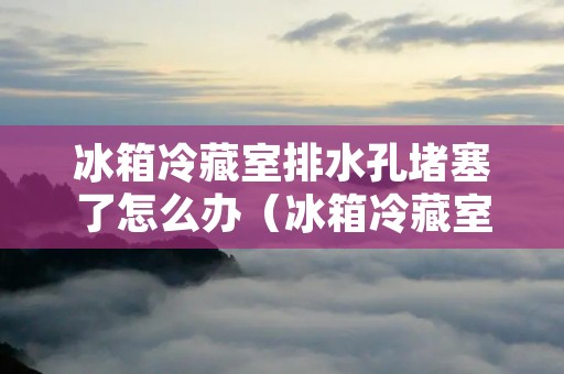 冰箱冷藏室排水孔堵塞了怎么办(冰箱冷藏室排水孔堵塞怎么办?)