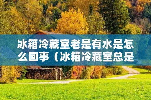 冰箱冷藏室老是有水是怎么回事(冰箱冷藏室总是有水怎么回事)