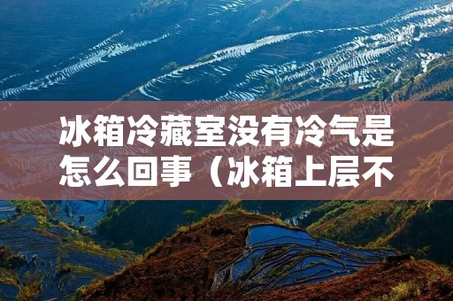 冰箱冷藏室没有冷气是怎么回事(冰箱上层不制冷下层正常)