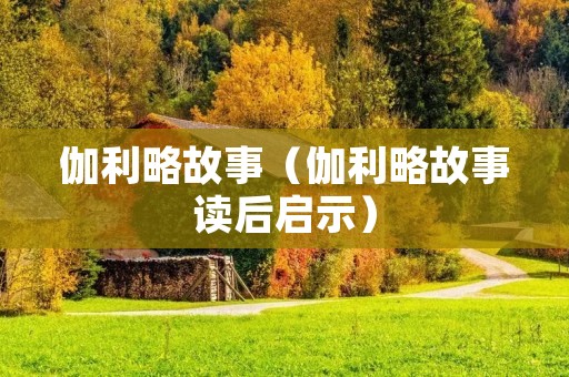 伽利略故事（伽利略故事读后启示）