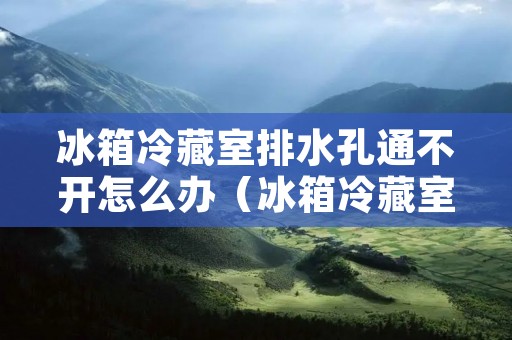 冰箱冷藏室排水孔通不开怎么办(冰箱冷藏室排水孔堵住会怎么样)