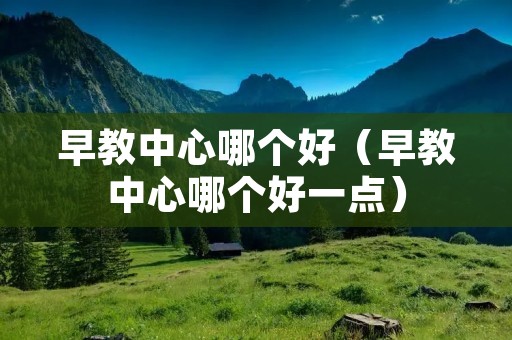 早教中心哪个好（早教中心哪个好一点）