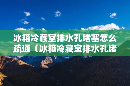 冰箱冷藏室排水孔堵塞怎么疏通(冰箱冷藏室排水孔堵塞怎么办)