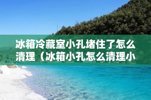 冰箱冷藏室小孔堵住了怎么清理（冰箱小孔怎么清理小妙招）