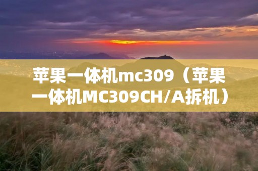 苹果一体机mc309（苹果一体机MC309CH/A拆机）