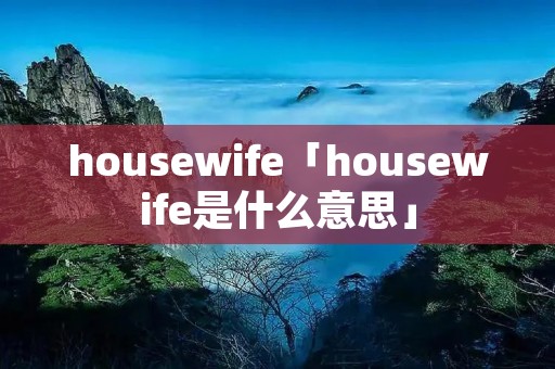 housewife「housewife是什么意思」