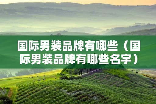 国际男装品牌有哪些（国际男装品牌有哪些名字）