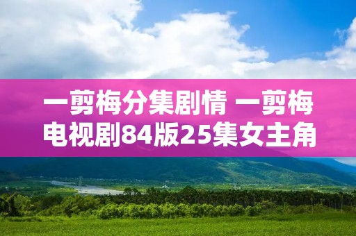 一剪梅分集剧情 一剪梅电视剧84版25集女主角是谁