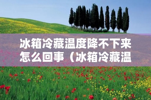 冰箱冷藏温度降不下来怎么回事(冰箱冷藏温度降不下来怎么回事儿) 冰箱冷藏温度降不下来怎么回事(冰箱冷藏温度降不下来怎么回事儿)