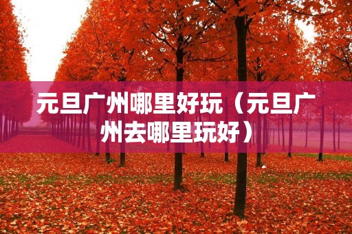 元旦广州哪里好玩(元旦广州去哪里玩好) 元旦广州哪里好玩(元旦广州去哪里玩好)