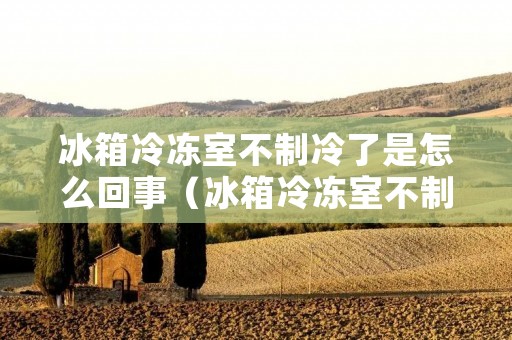 冰箱冷冻室不制冷了是怎么回事(冰箱冷冻室不制冷了是怎么回事视频)