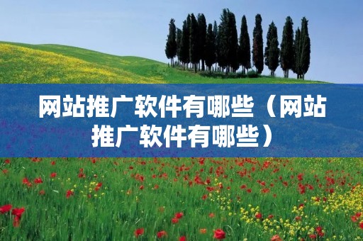 网站推广软件有哪些（网站推广软件有哪些）