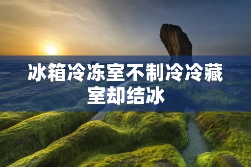 冰箱冷冻室不制冷冷藏室却结冰