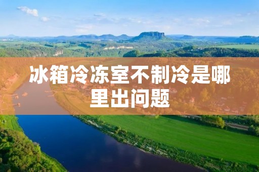 冰箱冷冻室不制冷是哪里出问题