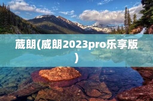 葳朗(威朗2023pro乐享版)