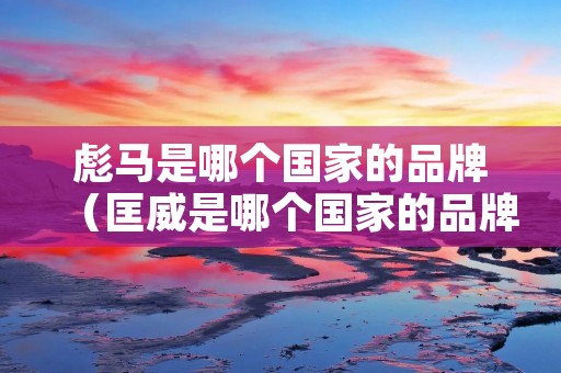 彪马是哪个国家的品牌（匡威是哪个国家的品牌）