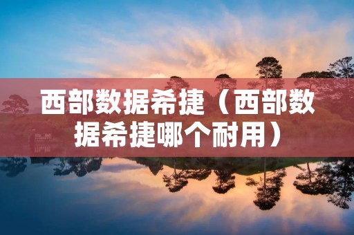 西部数据希捷(西部数据希捷哪个耐用) 西部数据希捷(西部数据希捷哪个耐用)