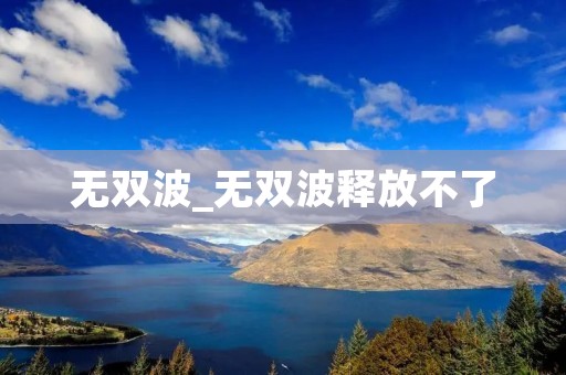 无双波_无双波释放不了