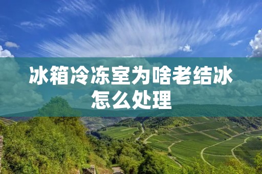 冰箱冷冻室为啥老结冰怎么处理