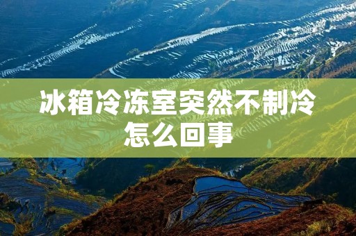 冰箱冷冻室突然不制冷怎么回事