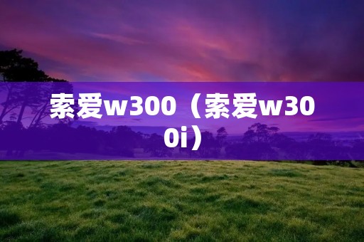索爱w300（索爱w300i）