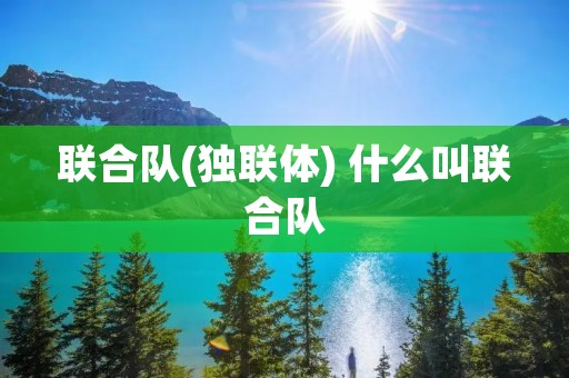 联合队(独联体) 什么叫联合队 联合队(独联体) 什么叫联合队