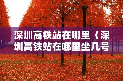 深圳高铁站在哪里(深圳高铁站在哪里坐几号地铁站) 深圳高铁站在哪里(深圳高铁站在哪里坐几号地铁站)