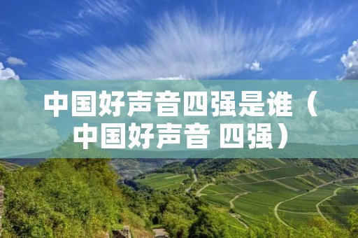 中国好声音四强是谁（中国好声音 四强）