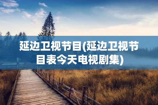延边卫视节目(延边卫视节目表今天电视剧集)