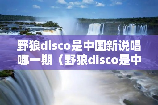 野狼disco是中国新说唱哪一期（野狼disco是中国新说唱哪一期的歌）