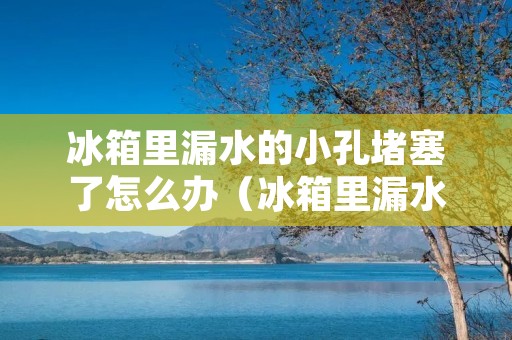 冰箱里漏水的小孔堵塞了怎么办(冰箱里漏水的小孔堵塞了怎么办呢)