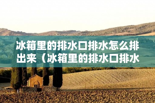 冰箱里的排水口排水怎么排出来(冰箱里的排水口排水怎么排出来视频)