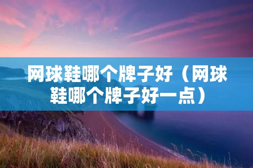 网球鞋哪个牌子好（网球鞋哪个牌子好一点）