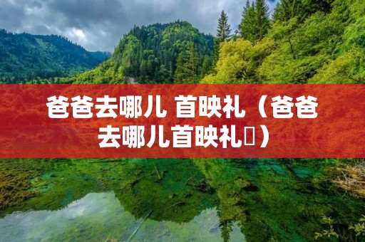 爸爸去哪儿 首映礼(爸爸去哪儿首映礼⺍) 爸爸去哪儿 首映礼(爸爸去哪儿首映礼⺍)