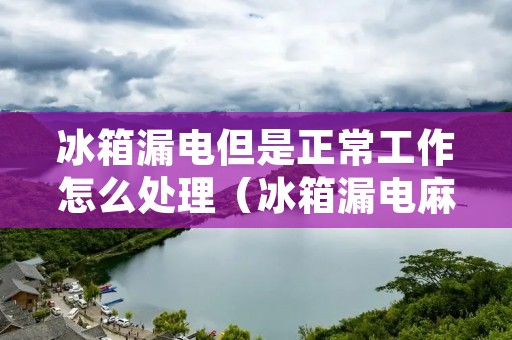 冰箱漏电但是正常工作怎么处理(冰箱漏电麻手还能不能用)