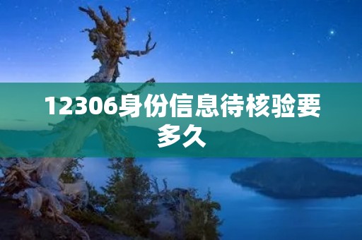 12306身份信息待核验要多久