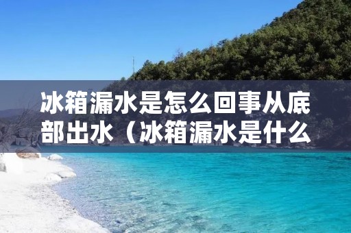 冰箱漏水是怎么回事从底部出水(冰箱漏水是什么原因呢冰箱下面漏水怎么办)