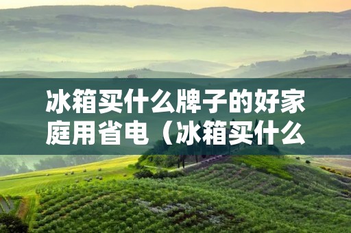 冰箱买什么牌子的好家庭用省电(冰箱买什么牌子的好家庭用省电又省电)