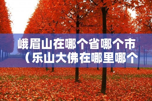 峨眉山在哪个省哪个市(乐山大佛在哪里哪个省哪个市) 峨眉山在哪个省哪个市(乐山大佛在哪里哪个省哪个市)
