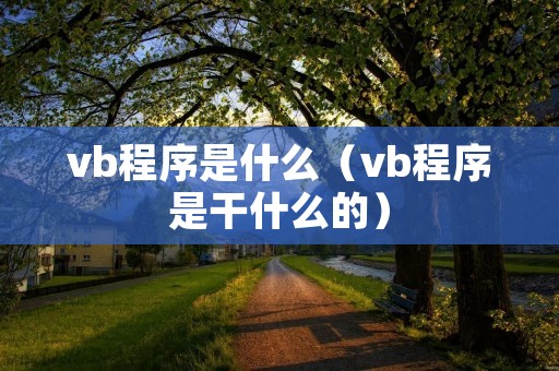 vb程序是什么(vb程序是干什么的) vb程序是什么(vb程序是干什么的)